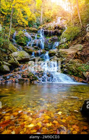 Malerischer Blick auf die Catawba Falls im Pisgah National Forest bei Asheville, North Carolina Stockfoto