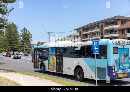 Sydney Bus, Single Decker Bus, auf der Pittwater Road in Newport Beach, Sydney, NSW, Australien Stockfoto