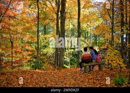 Mutter und Kind sitzen auf einer Parkbank im Herbstwald Stockfoto