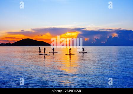 People Silhouettes Stand SUP Paddle Boarding, Sea Sunset Beach, aktiver junger Mann, Surfbrett, Ozean Sonnenaufgang, Surfbrett, Wassersport Stockfoto