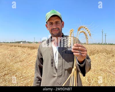 Brot ist Leben! Aus diesem Grund hat USAID ein Pilotprogramm gestartet, das ägyptische Landwirte dabei unterstützen soll, die Verschwendung bei der Weizenproduktion zu reduzieren, wodurch Ägypten ab diesem Jahr Tausende Tonnen Weizen einsparen wird. Durch mehr als 40 Jahre Partnerschaft und mehr als $1,4 Milliarden US-Dollar Unterstützung für den Agrarsektor Ägyptens, die USA Die Regierung steht solidarisch mit dem ägyptischen Volk. Stockfoto