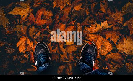 Die Füße einer Person im Herbst liegen auf dem Boden Stockfoto
