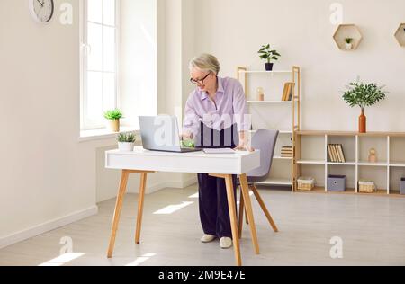Glückliche Geschäftsfrau, die an ihrem Laptop in einer modernen, schönen Büroeinrichtung arbeitet Stockfoto
