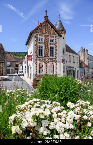 Les Caves du Palais Winery, Nuits-Saint-Georges, Departement Cote-d'Or, Burgund, Frankreich Stockfoto