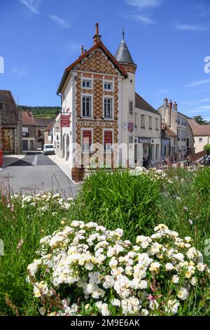 Les Caves du Palais Winery, Nuits-Saint-Georges, Departement Cote-d'Or, Burgund, Frankreich Stockfoto