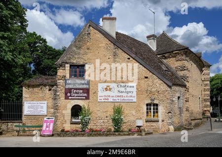 Chateau de Savigny, Weingut, Savigny-les-Beaune, Departement Cote-d'Or, Burgund, Frankreich Stockfoto