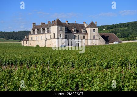 Vineyard Chateau du Clos de Vougeot, near Nuits-Saint-George, Cote-Dor Department, Bourgogne-Franche-Comte, Burgund, Frankreich Stockfoto