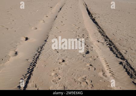 Spuren von Autoreifen im Sand auf dem Strandreifen prägen sandigen Wüstenhintergrund Stockfoto