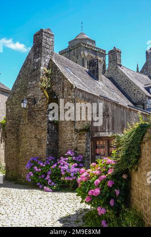 Hortensien vor dem alten Steinhaus Locronan, das als eines der schönsten Dörfer Frankreichs ausgezeichnet wurde, Departement Finistere Penn-ar-Bed Stockfoto