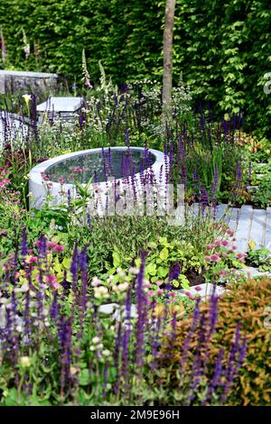 Wildtierteich, Wildtierfreundlicher Garten, Wildtierfreundlicher Garten, Salvia Nemorosa Caradonna, bienenfreundliche Pflanzung, violette Blumen, dicht gepflanzt bo Stockfoto