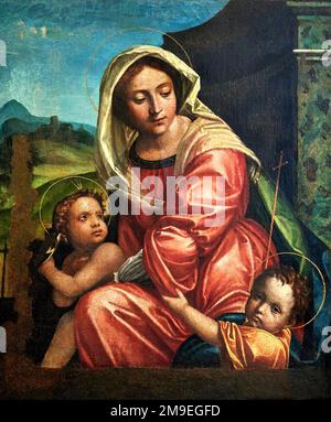 Madonna del cardellino - olio su tavola - Paolo Morando detto il Cavazzola - XVI secolo - Verona, Museo di Castelvecchio Stockfoto