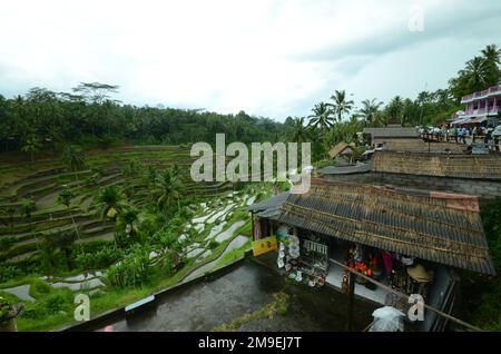 Ein Foto aus einem hohen Winkel der Reisterrassen Tegallalang und Jatiluwih in Bali, Indonesien an einem Regentag Stockfoto