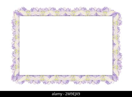 Handgezeichneter quadratischer Rahmen in Aquarellfarben mit Frühlingsblumen, Krokus, Schneeglöckchen, Zweigen, Blättern. Isoliert auf weißem Hintergrund. Design für Einladungen Stockfoto