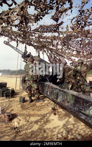 Rückansicht links, mittlere Aufnahme eines US Marine M198 155mm Howitzer als Marinekanone von Lima Battery, 3. Bataillon, 12. Marines, aus Camp Hansen, Okinawa, Japan, laden Sie eine Artillerie in den Howitzer. Diese Übung fand im Ojojihara, Japan Range Artillery Relocation Shoot statt. (Porträtaufnahme). Einsatzgebiet/Serie: OJOJIHARA-ARTILLERIE-UMSIEDLUNG SCHIESSSTAND: Ojojihara-Basislager Land: Japan (JPN) Stockfoto