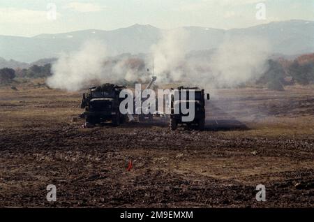 Direkt auf die Langstrecke von zwei M923A1 (6X6) 5-Tonnen-Laster, während sie die Sicht eines M198 155mm Howitzers verdecken, der von US-Marines aus Lima Battery, 3. Bataillon, 12. Marines, aus Camp Hansen, Okinawa, Japan, abgefeuert wird. Das Training findet beim Umzugsschießen der Artillerie in Ojojihara, Japan, statt. Einsatzgebiet/Serie: OJOJIHARA-ARTILLERIE-UMSIEDLUNG SCHIESSSTAND: Ojojihara-Basislager Land: Japan (JPN) Stockfoto