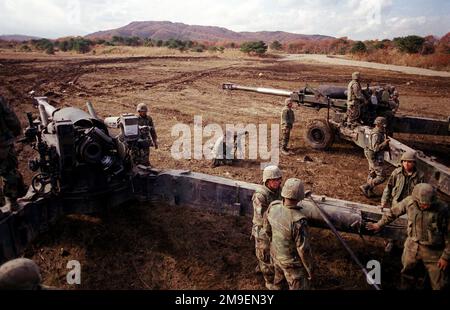 Rückansicht von zwei US Marine M198 155mm-Haubitzen, während Marines aus Lima Battery, 3. Bataillon, 12. Marines aus Camp Hansen, Okinawa, Japan, die Haubitzer während des Schießens in der Artillerie in Ojojihara, Japan, für den Umzug zusammenstellten. Einsatzgebiet/Serie: OJOJIHARA-ARTILLERIE-UMSIEDLUNG SCHIESSSTAND: Ojojihara-Basislager Land: Japan (JPN) Stockfoto