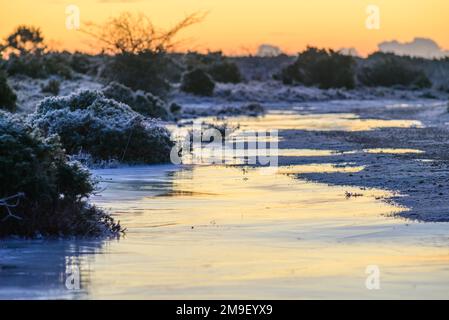 Eis und gefrorenes Wasser mit warmem Sonnenaufgang im Hintergrund, Januar, Winter, Großbritannien Stockfoto