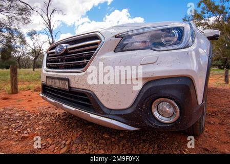 Eine Nahaufnahme der Vorderseite eines 2018 Subaru Outback Wagens, bedeckt mit zerquetschten Insekten und Insekten von der Reise im Outback New South Wales, Australien Stockfoto