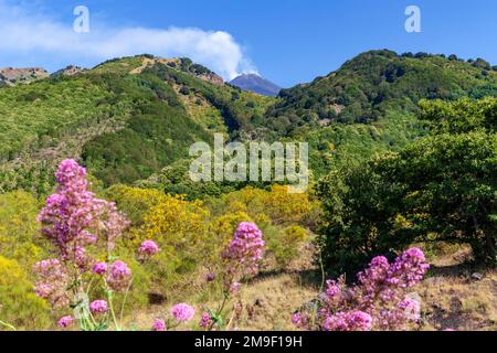 Weiter Blick auf den Ätna, Europas höchsten Vulkan Stockfoto