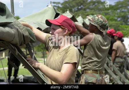 JULIA Dodge, SENIOR AIRMAN DER US Air Force, 820. ROTES PFERD, Nellis Air Force Base, Nevada, hilft beim Absturz von Zelten vor dem Abflug von Grenada am 2. August 2000. Das 820. Red HORSE Squadron der Air Force, Nellis AFB, NV, und das 8. Engineer Support Battalion der Marine, Camp Lejeune, North Carolina (nicht abgebildet), sind Teil einer größeren humanitären Übung, die von USSOUTHCOM (United States Southern Command) gesponsert wird und mit dem Bau eines Gemeindezentrums, Kasernen und einer Schule beauftragt ist. Diese Übung, New Horizons 2000, findet an verschiedenen Orten in der Karibik und Südamerika statt. Betreff Betrieb/S Stockfoto