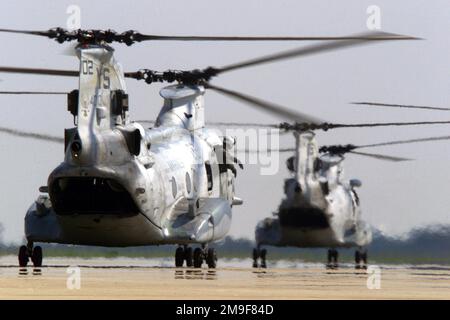 Ein Besatzungsmitglied des United States Marine Corps CH-46E Sea Knight lehnt sich aus der Eingangstür der Besatzung und signalisiert einem vor ihm liegenden Hubschrauber, dass er startbereit ist. Die USMC CH-46E, die dem Marine Medium Helicopter Squadron One Six Two (HMM-162), New River, North Carolina, zugeteilt wurde, wurden gerade von einem USMC KC-130 mit Hot Pit betankt. Die Hot-Pit-Betankung fand am Luftwaffenstützpunkt Shaw, South Carolina, statt, als die Hubschrauber das Gebiet durchquerten, während sie am 14. August 2000 zur Naval Air Station Atlanta, Georgia, für eine Übung entsandten. Basis: Luftwaffenstützpunkt Shaw Bundesstaat: South Carolina (SC) Land: Vereinigte Staaten Stockfoto