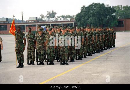 US-Marines von Zug 3064 stehen am 23. August 2000 in Attention und warten auf das Kommando ihres LEITENDEN Übungsleiters (nicht abgebildet) im Marine Corps Recruit Depot, Parris Island, South Carolina. Basis: USMC Recruit Depot, Parris Island Bundesstaat: South Carolina (SC) Land: Vereinigte Staaten von Amerika (USA) Stockfoto