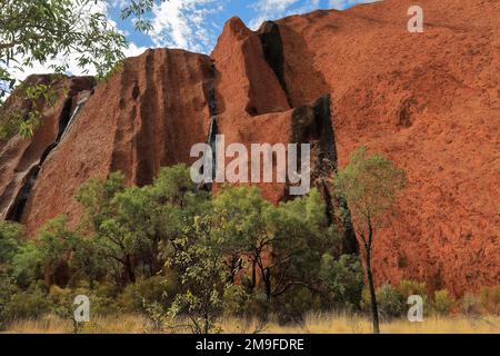 416 dunkle Wasserzeichen auf hohen Wänden - Kantju-Schlucht des Uluru-Felsens vom Fuß aus gesehen - Abschnitt Mala. NT-Australien. Stockfoto