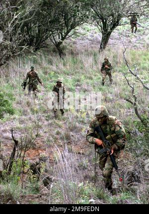 US-Marines vom 1. Bataillon, 3. Marines, Arms Company, patrouillieren die Gegend während einer Übung im Pohakuloa Training Area auf der Big Island von Hawaii. Basis: Pohakuloa Training Area Bundesstaat: Hawaii (HI) Land: Vereinigte Staaten von Amerika (USA) Stockfoto
