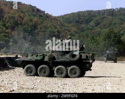 Linkes Bild von einem leichten gepanzerten US Marines Corps (LAV-25) von Light Armored Reconnaissance (LAR), Arms Company, feuert seine M-242 Bushmaster 25mm Automatische Kettenpistole und eine montierte M-240 7,62mm Maschinenpistole auf einem Schießstand in Susong Ri, Korea ab. Während DES FOHLEN-ADLER-2000-Trainings verbrachten Marines der 31. Marine Expeditionary Unit (MEU) zwei Monate damit, an verschiedenen Ausbildungsmaßnahmen an und vor der Küste von Okinawa, Japan, Sasebo, Japan, Pohang, Korea und Hongkong, China. Betreff Operation/Serie: FOHLEN EAGLE 2000 Basis: Susong Ri Land: Republik Korea (ROK) Stockfoto