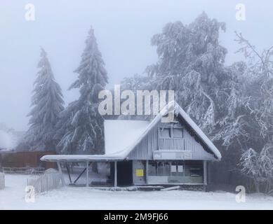 Frosthütte im Winter im Nebelwald Stockfoto