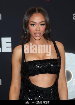 Los Angeles, Ca. 17. Januar 2023. Bei der Netflix Premiere von euch Leuten im Regency Village Theater in Los Angeles, Kalifornien, am 17. Januar 2023. Kredit: Faye Sadou/Media Punch/Alamy Live News Stockfoto