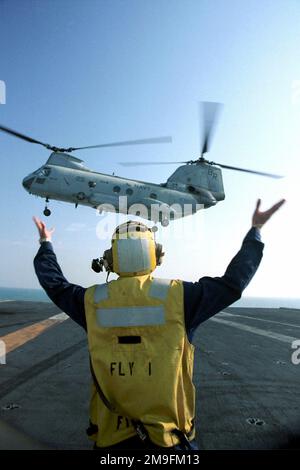 US Navy Aviation Boatswain's Mate (Handler) dritter Klasse Jamorn Driver leitet einen CH-46D Sea Knight Helikopter während vertikaler Repetierungen an Bord der USS HARRY S. TRUMAN (CVN 75). Truman ist auf Station im Persischen Golf, um die Operation SÜDWACHE zu unterstützen. Betreff Betrieb/Serie: SÜDLICHE WACHSTATION: USS Harry S. Truman (CVN 75) Stockfoto