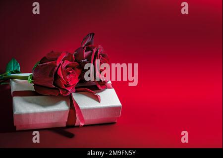 Zwei dunkelrote Rosen auf einer weißen Geschenkbox für Valentinstag oder Muttertag, Weihnachtssymbol, roter Hintergrund mit Kopierbereich, ausgewählter Fokus, schmale Abteilung Stockfoto