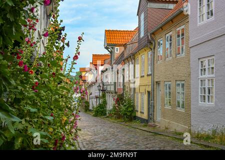 Enge gepflasterte Gasse mit kleinen historischen Wohnhäusern und gepflanzten Blumen an den Fassaden in der Altstadt von Flensburg, Deutschland, touristisch am meisten Stockfoto