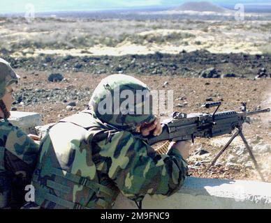 US Marine Corps Private First Class J. Heredia feuert auf ein Ziel mit der M249 Squad Automatic Weapon und US Marine Corps Private J. Williams, PFC Heredias Assistant GUNNER, beide von der Headquarters Company des 3. Marine Regiment, beobachtet seinen Aufprallbereich. Diese Marines feuerten auf einem Schießstand in der Pohakuloa Trainingszone, Hawaii. (Unterdurchschnittliches Bild). Basis: Pohakuloa Training Area Bundesstaat: Hawaii (HI) Land: Vereinigte Staaten von Amerika (USA) Stockfoto