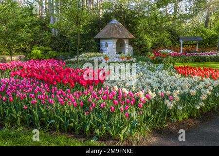 Wunderschöne Landschaft im königlichen Blumengarten Keukenhof in den Niederlanden mit wunderschönen Blumenbeeten und ohne Menschen Stockfoto