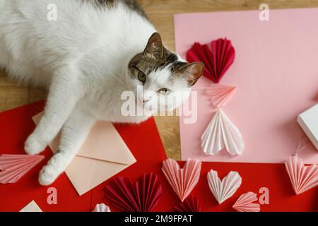 Süße Katze liegt auf roten und pinken Herzen, Geschenkbox, Umschlag, Schere und Papier auf Holztisch. Vorbereitungen zum Valentinstag. Alles gute zum Valentinstag! Stockfoto