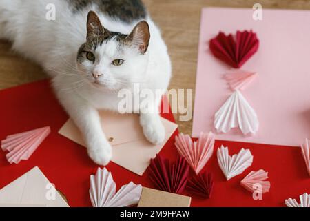 Süße Katze liegt auf roten und pinken Herzen, Geschenkbox, Umschlag, Schere und Papier auf Holztisch. Vorbereitungen zum Valentinstag. Alles gute zum Valentinstag! Stockfoto