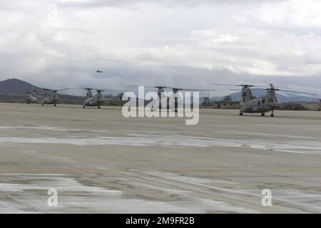 Ein Konvoi von 16 CH46-Hubschraubern trifft in MCAS Miramar ein und bringt die Marines von HMM-161 nach einem sechsmonatigen Einsatz als Teil der 13. MEU (Marine Expeditionary Unit) nach Hause. Betreff Operation/Serie: HMM-161 Heimatbasis: Marineflugstation, Miramar Bundesstaat: Kalifornien (CA) Land: Vereinigte Staaten von Amerika (USA) Stockfoto