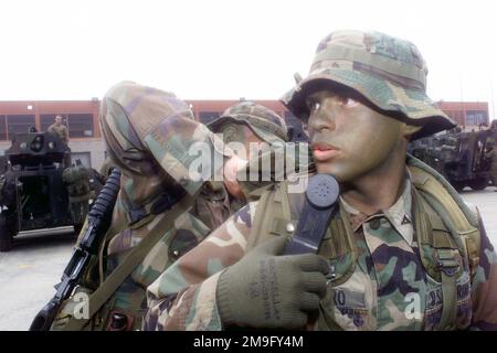 US Marine Corps (USMC) Lance Corporal (LCPL), Chris Castro (Vordergrund), C/Company, 3. Light Armored Reconnaissance (LAR) Battalion, 1. Marine Division, erhält Hilfe mit seinem Funkgerät während des Trainings KERNEL BLITZ 2001. Betreff Betrieb/Serie: KERNEL BLITZ 2001 Base: Marine Corps Base Camp Pendleton Bundesstaat: Kalifornien (CA) Land: Vereinigte Staaten von Amerika (USA) Stockfoto