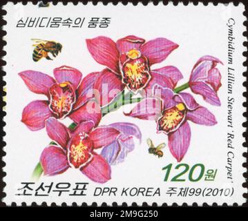 2010 nordkoreanische Briefmarke mit rosa Cymbidium Lillian Stewart „Red Carpet“ Orchideen und Bienen. Stockfoto