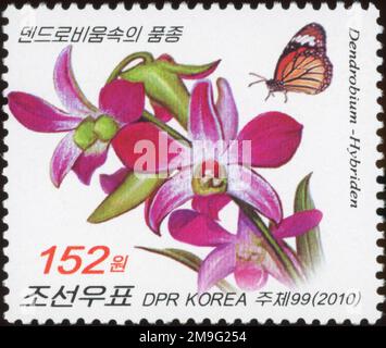 2010 Nordkorea eingestellt. Blumen - Orchideen, Dendrobium sp. Stockfoto