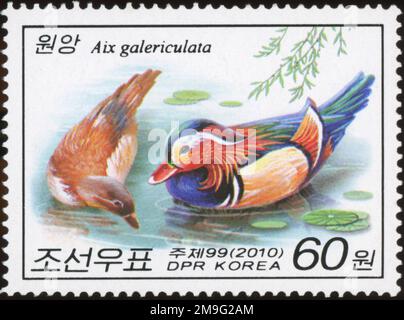 2010 nordkoreanische Briefmarke mit einem Paar Mandarinenten (Aix galericulata), Wildserie der DVRK. Stockfoto