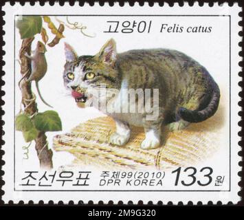 2010 nordkoreanische Briefmarke mit einer Tabbykatze, die eine Maus auf einer Weinrebe beobachtet, Teil einer Hauskatzenserie. Stockfoto