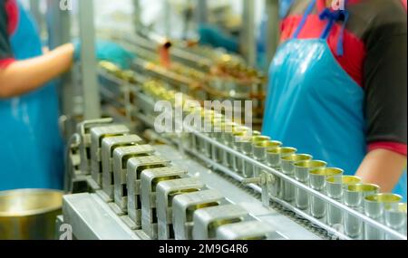 Fischkonserven Fabrik. Lebensmittelindustrie. Sardinen in roter Tomatensauce in Dosen auf dem Förderband in der Lebensmittelfabrik. Verwischen Sie Mitarbeiter, die in Lebensmitteln arbeiten Stockfoto