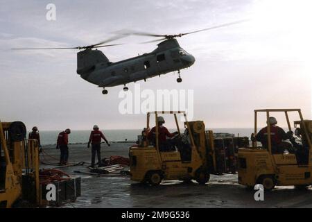 Ein Sea Knight Hubschrauber der CH-46 bereitet sich auf die Landung vor, während die US Navy Aviation Ordnancemen Kampfmittelcontainer für die Übergabe an USNS SIRIUS (T-AFS 8) (nicht abgebildet) während einer Waffenentladung auf dem Flugdeck der USS HARRY S. TRUMAN (CVN 75) erkennen. Basis: USS Harry S. Truman (CVN 75) Stockfoto