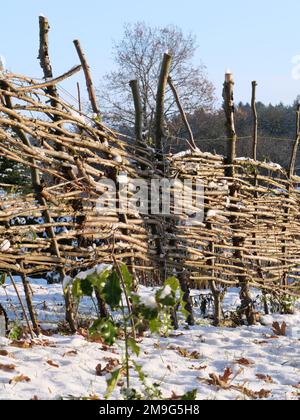 Ein Gartenzaun, der aus Weidenzweigen im Abendlicht gewebt wurde Stockfoto
