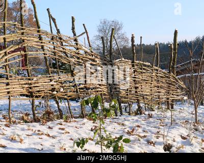 Ein Gartenzaun, der aus Weidenzweigen im Abendlicht gewebt wurde Stockfoto
