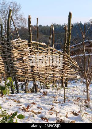 Ein Gartenzaun, der aus Weidenzweigen im Abendlicht gewebt wurde Stockfoto