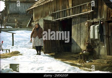 Salaj County, Rumänien, ca. 2000. Ältere Frau in ihrem Garten im Winter. Stockfoto